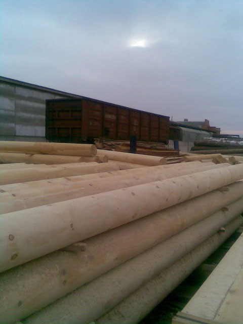 eastern cedar poles